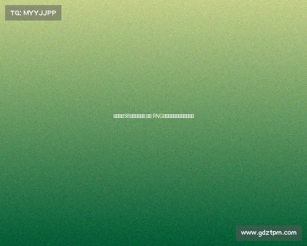 英雄联盟S8赛季冠军回顾 解析 RNG战队如何创造历史巅峰之路